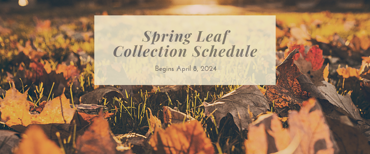 Spring 2024 Leaf Collection