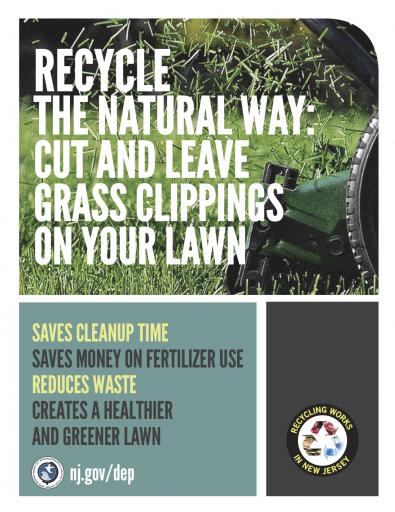 What To Do With Grass Clippings