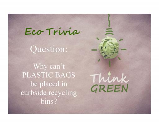 GTV Trivia - Plastic Bags - Page 1