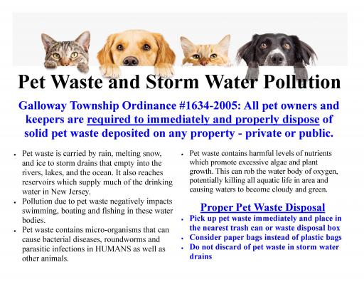 Pet Waste and Water Pollution   Page 1