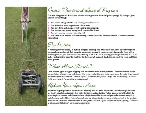 Grass - Cut It and Leave It