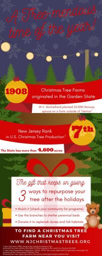 NJDEP - Christmas Trees