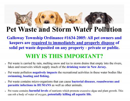 Pet Waste and Water Pollution   Page 2