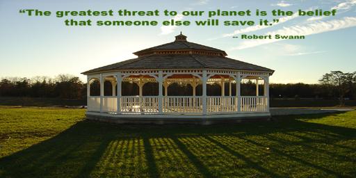 Robert Swann Quote