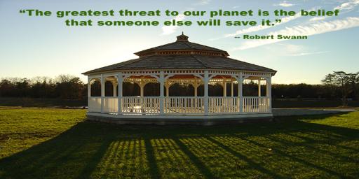 Robert Swann Quote